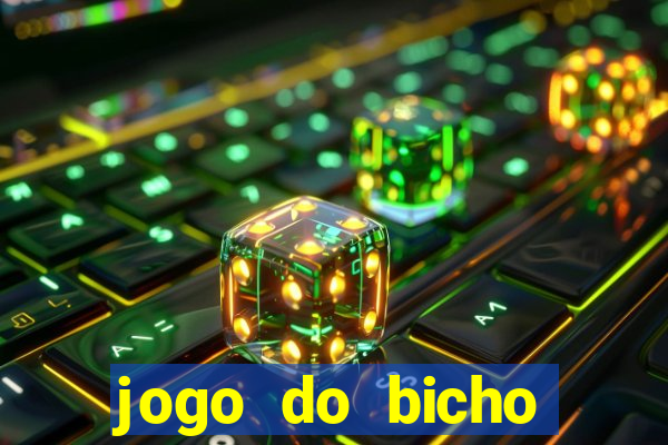 jogo do bicho crash bingo